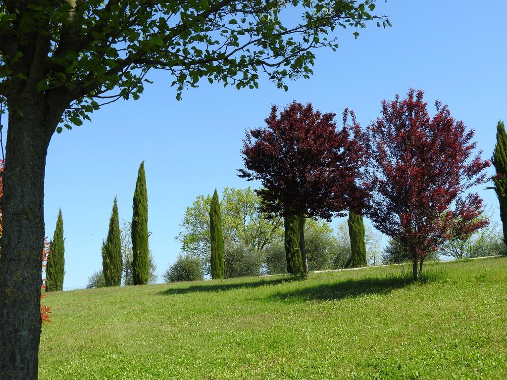Casa Sorgente Bed & Breakfast San Costanzo Luaran gambar